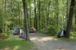 campground_0017