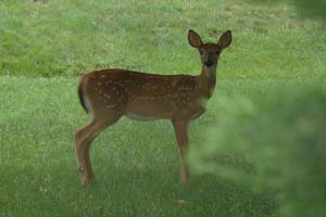 at_michael_dsc_0022